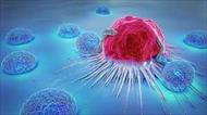تحقیق كشف يك پروتئين مؤثر در سرطان پستان